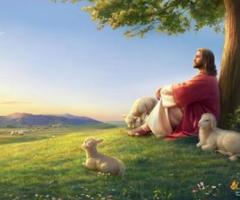 Eternal Life International Ministries